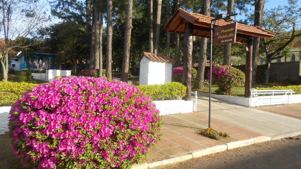 Pousada Pinhal Alto Nova Petropolis Bagian luar foto