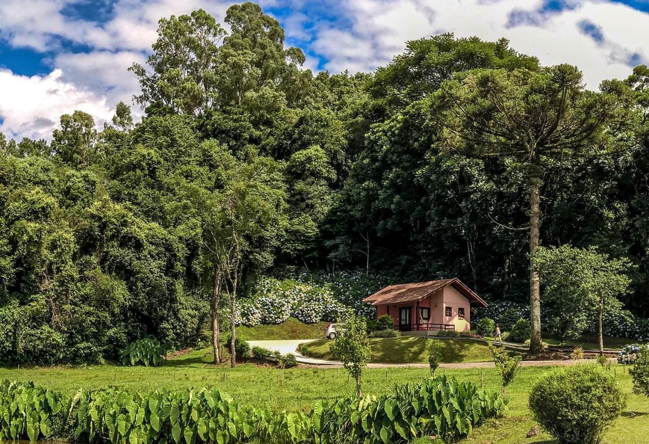 Pousada Pinhal Alto Nova Petropolis Bagian luar foto